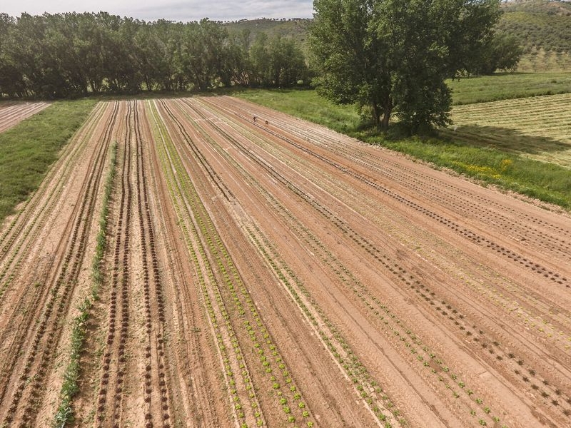 Proyecto Eco Regiones en Portugal, la fertilidad rural del siglo XXI